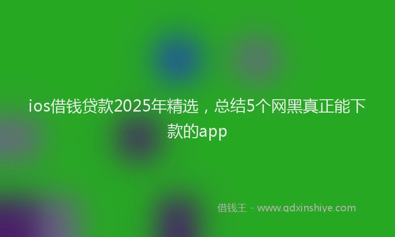 ios借钱贷款2025年精选，总结5个网黑真正能下款的app