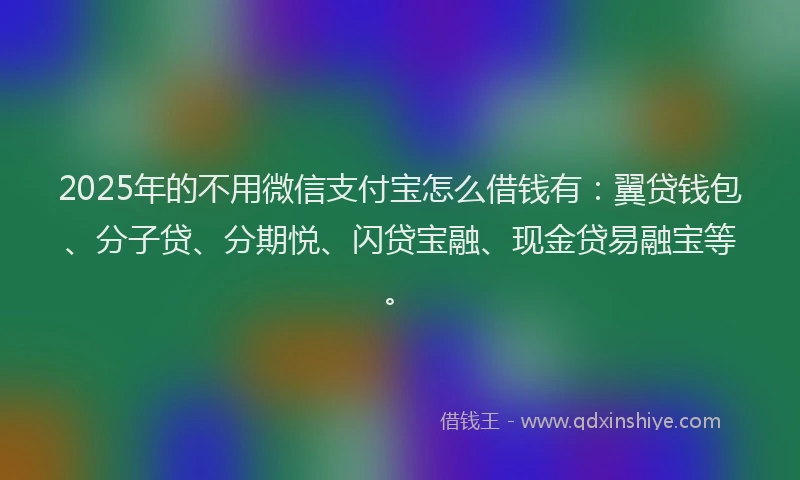 2025年的不用微信支付宝怎么借钱有：翼贷钱包、分子贷、分期悦、闪贷宝融、现金贷易融宝等。