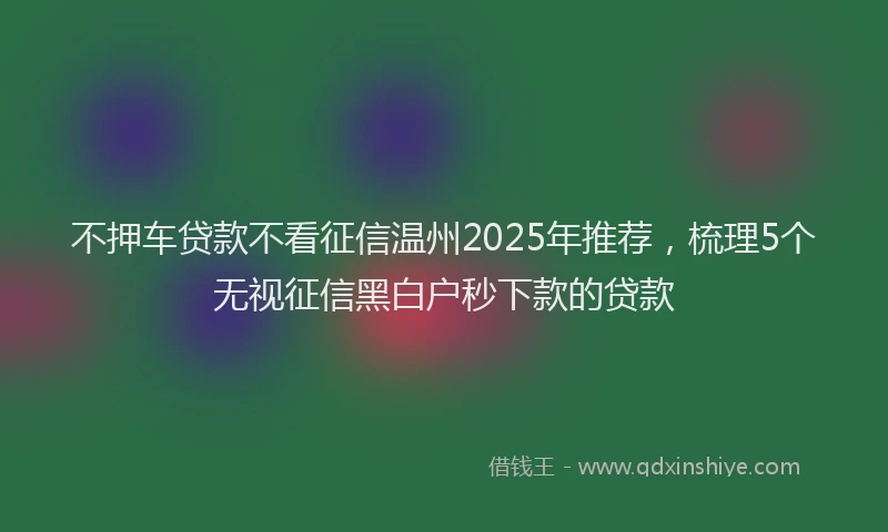 不押车贷款不看征信温州2025年推荐，梳理5个无视征信黑白户秒下款的贷款