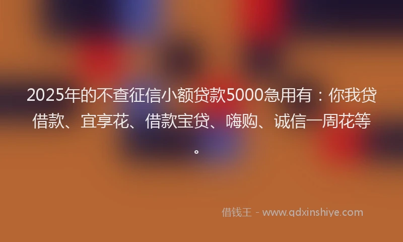 2025年的不查征信小额贷款5000急用有：你我贷借款、宜享花、借款宝贷、嗨购、诚信一周花等。