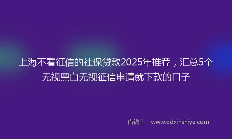上海不看征信的社保贷款2025年推荐，汇总5个无视黑白无视征信申请就下款的口子