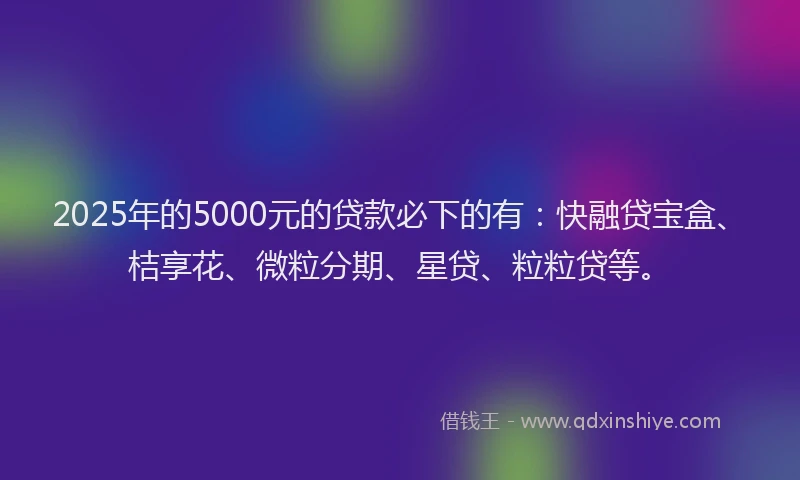 2025年的5000元的贷款必下的有：快融贷宝盒、桔享花、微粒分期、星贷、粒粒贷等。