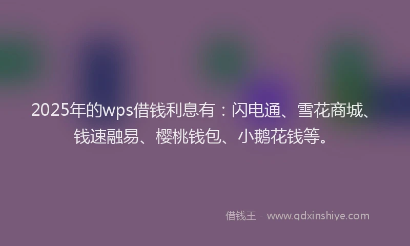 2025年的wps借钱利息有：闪电通、雪花商城、钱速融易、樱桃钱包、小鹅花钱等。
