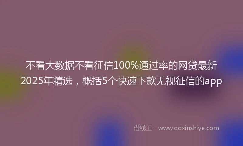 不看大数据不看征信100%通过率的网贷最新2025年精选，概括5个快速下款无视征信的app