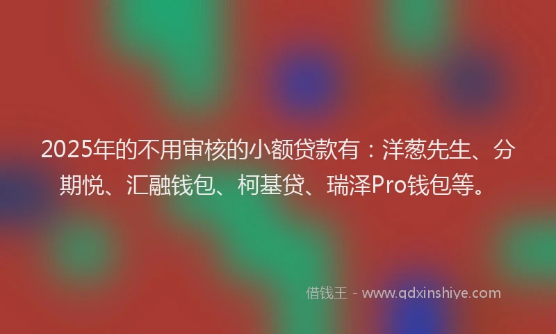 2025年的不用审核的小额贷款有：洋葱先生、分期悦、汇融钱包、柯基贷、瑞泽Pro钱包等。