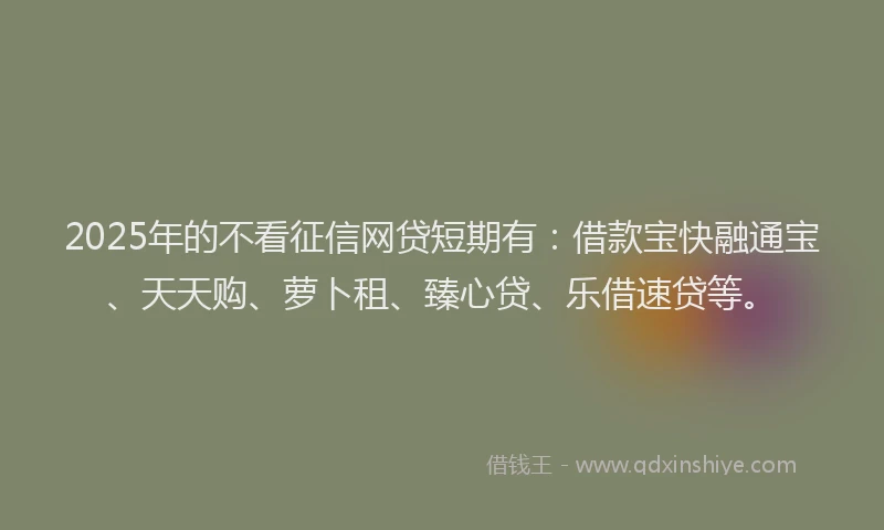 2025年的不看征信网贷短期有：借款宝快融通宝、天天购、萝卜租、臻心贷、乐借速贷等。