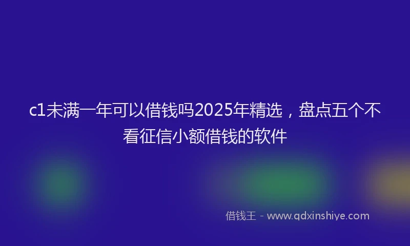 c1未满一年可以借钱吗2025年精选，盘点五个不看征信小额借钱的软件