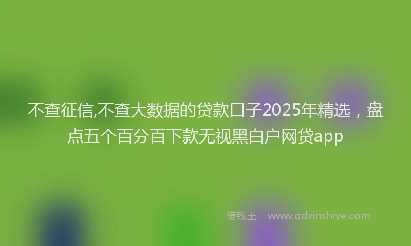 不查征信,不查大数据的贷款口子2025年精选，盘点五个百分百下款无视黑白户网贷app