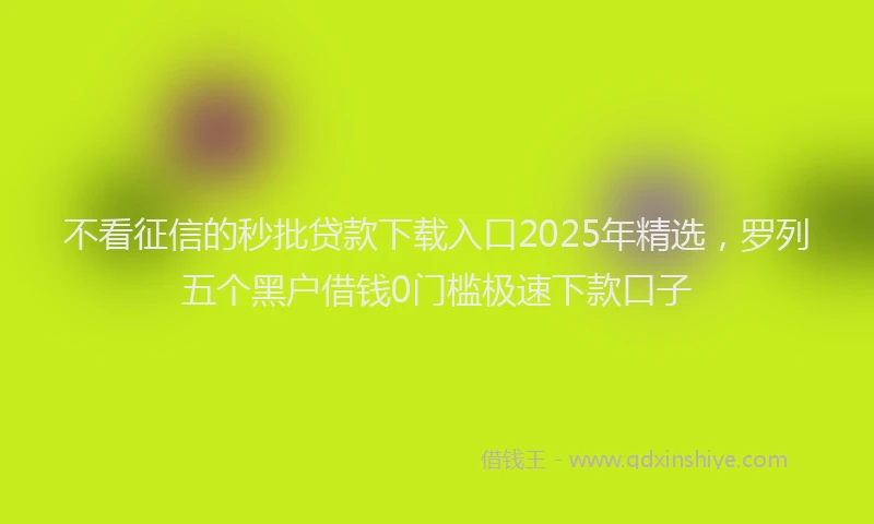 不看征信的秒批贷款下载入口2025年精选，罗列五个黑户借钱0门槛极速下款口子