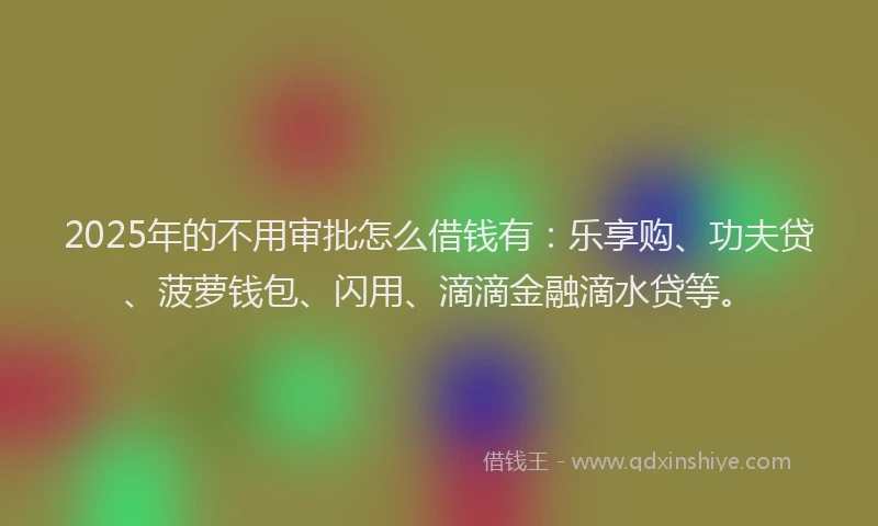 2025年的不用审批怎么借钱有：乐享购、功夫贷、菠萝钱包、闪用、滴滴金融滴水贷等。