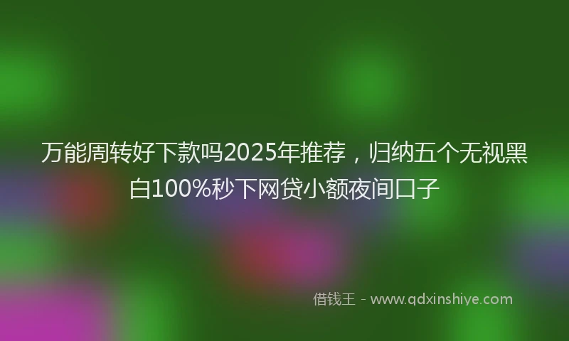 万能周转好下款吗2025年推荐，归纳五个无视黑白100%秒下网贷小额夜间口子