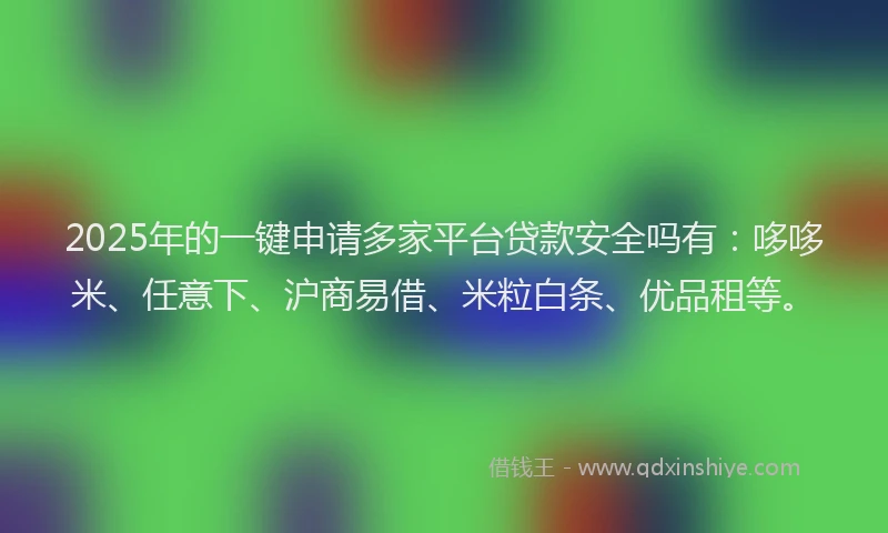 2025年的一键申请多家平台贷款安全吗有：哆哆米、任意下、沪商易借、米粒白条、优品租等。