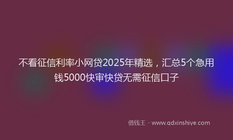 不看征信利率小网贷2025年精选，汇总5个急用钱5000快审快贷无需征信口子