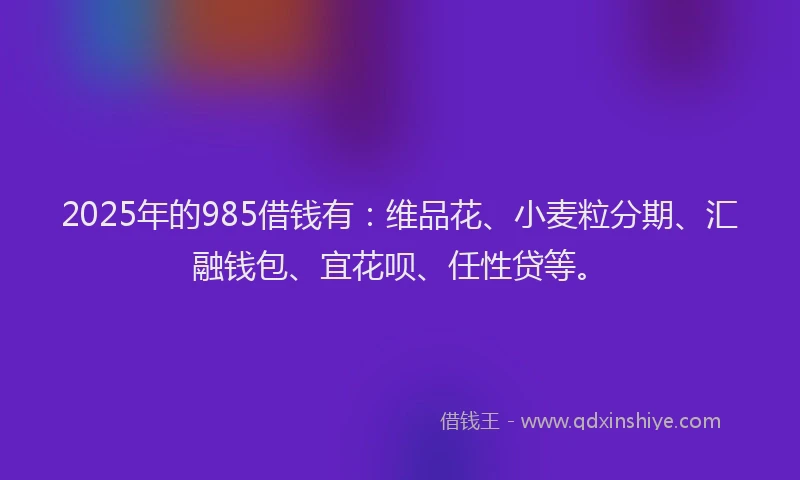 2025年的985借钱有：维品花、小麦粒分期、汇融钱包、宜花呗、任性贷等。