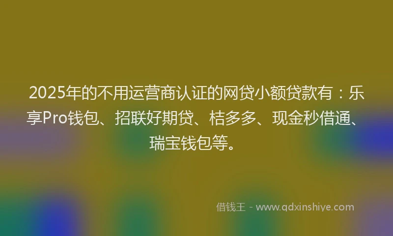 2025年的不用运营商认证的网贷小额贷款有：乐享Pro钱包、招联好期贷、桔多多、现金秒借通、瑞宝钱包等。