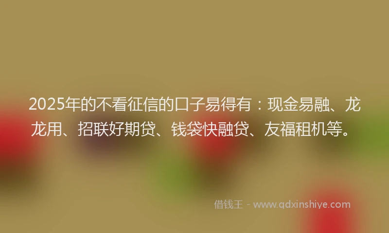 2025年的不看征信的口子易得有：现金易融、龙龙用、招联好期贷、钱袋快融贷、友福租机等。