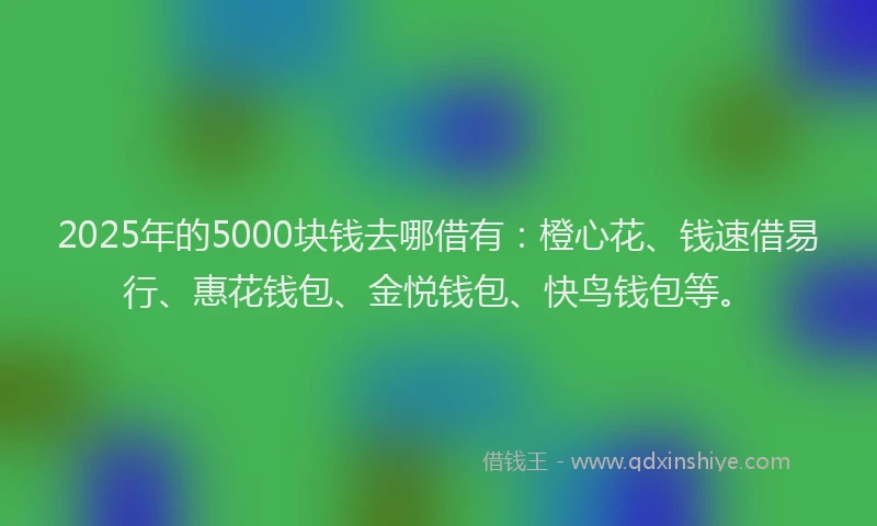 2025年的5000块钱去哪借有：橙心花、钱速借易行、惠花钱包、金悦钱包、快鸟钱包等。
