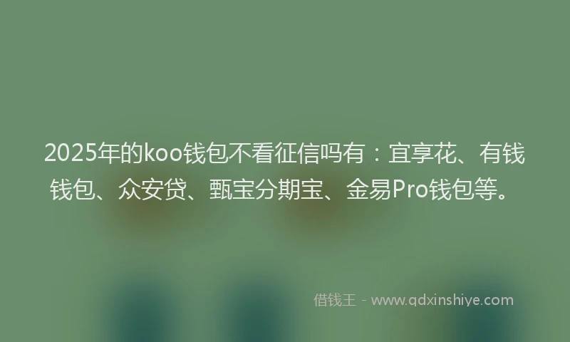 2025年的koo钱包不看征信吗有：宜享花、有钱钱包、众安贷、甄宝分期宝、金易Pro钱包等。