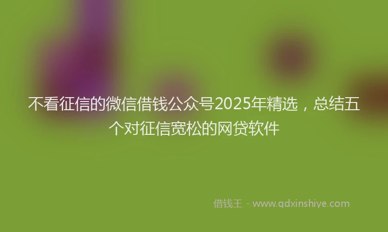 不看征信的微信借钱公众号2025年精选，总结五个对征信宽松的网贷软件