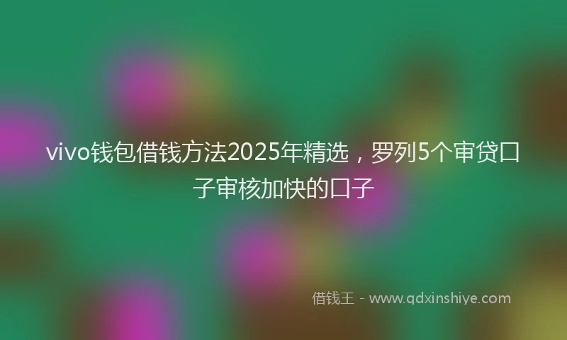 vivo钱包借钱方法2025年精选，罗列5个审贷口子审核加快的口子