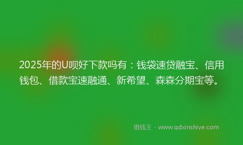 2025年的U呗好下款吗有：钱袋速贷融宝、信用钱包、借款宝速融通、新希望、森森分期宝等。