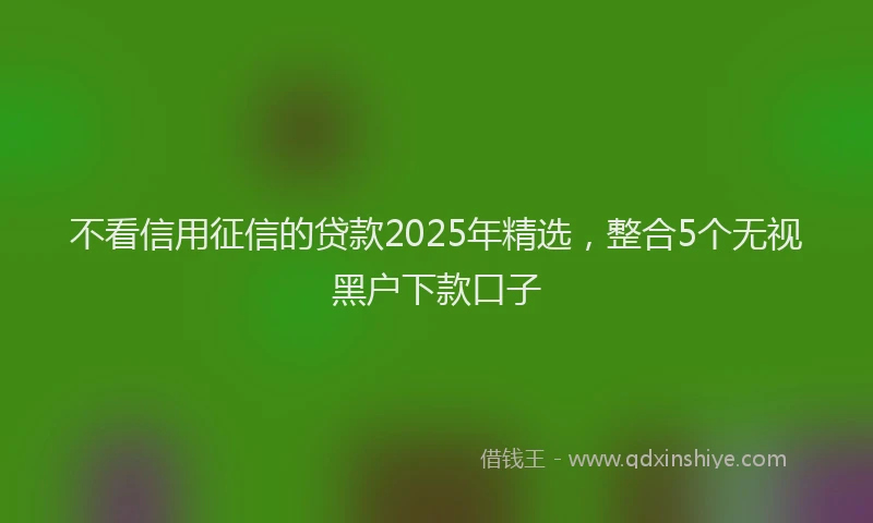 不看信用征信的贷款2025年精选，整合5个无视黑户下款口子