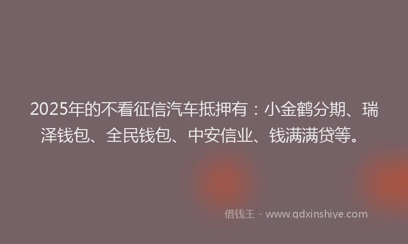 2025年的不看征信汽车抵押有：小金鹤分期、瑞泽钱包、全民钱包、中安信业、钱满满贷等。