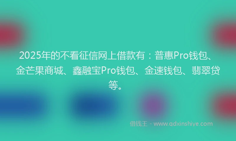 2025年的不看征信网上借款有：普惠Pro钱包、金芒果商城、鑫融宝Pro钱包、金速钱包、翡翠贷等。
