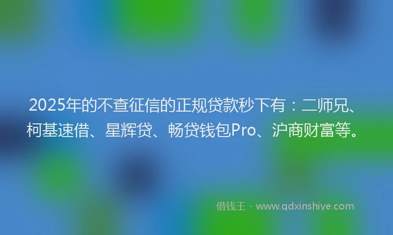 2025年的不查征信的正规贷款秒下有：二师兄、柯基速借、星辉贷、畅贷钱包Pro、沪商财富等。