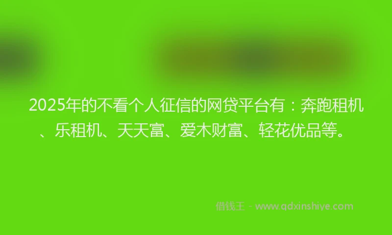 2025年的不看个人征信的网贷平台有：奔跑租机、乐租机、天天富、爱木财富、轻花优品等。