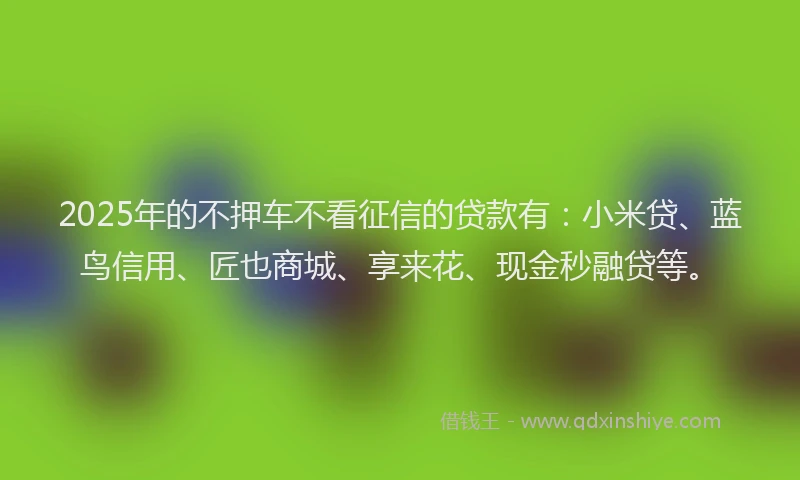 2025年的不押车不看征信的贷款有：小米贷、蓝鸟信用、匠也商城、享来花、现金秒融贷等。