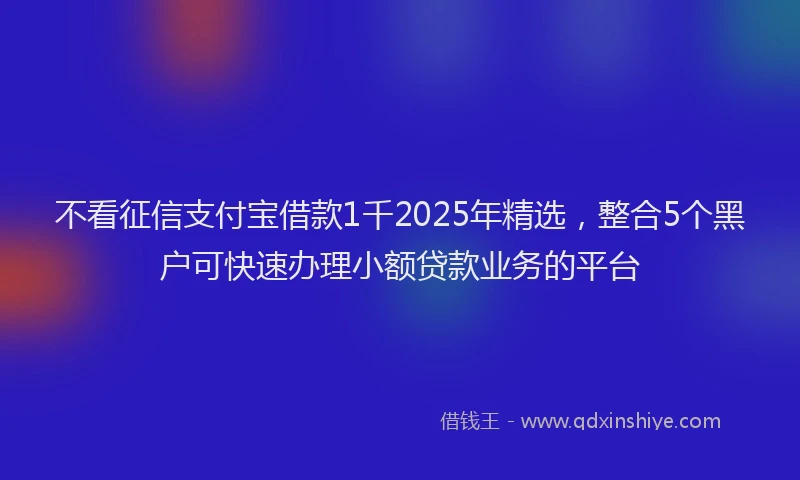 不看征信支付宝借款1千2025年精选，整合5个黑户可快速办理小额贷款业务的平台
