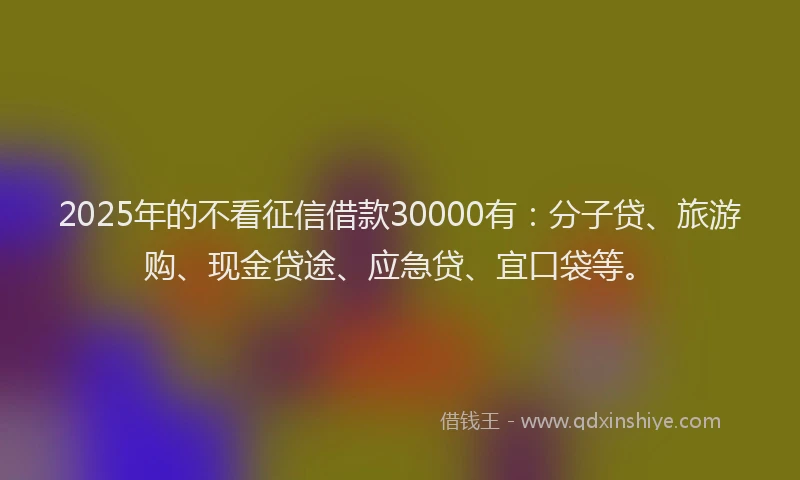 2025年的不看征信借款30000有：分子贷、旅游购、现金贷途、应急贷、宜口袋等。
