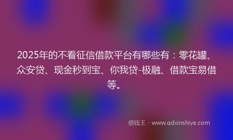 2025年的不看征信借款平台有哪些有：零花罐、众安贷、现金秒到宝、你我贷-极融、借款宝易借等。