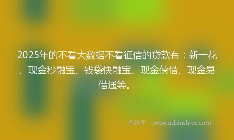 2025年的不看大数据不看征信的贷款有：新一花、现金秒融宝、钱袋快融宝、现金侠借、现金易借通等。
