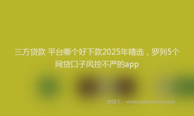 三方贷款 平台哪个好下款2025年精选，罗列5个网贷口子风控不严的app