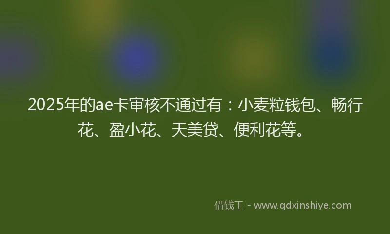 2025年的ae卡审核不通过有：小麦粒钱包、畅行花、盈小花、天美贷、便利花等。