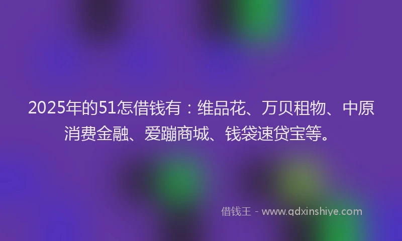 2025年的51怎借钱有：维品花、万贝租物、中原消费金融、爱蹦商城、钱袋速贷宝等。