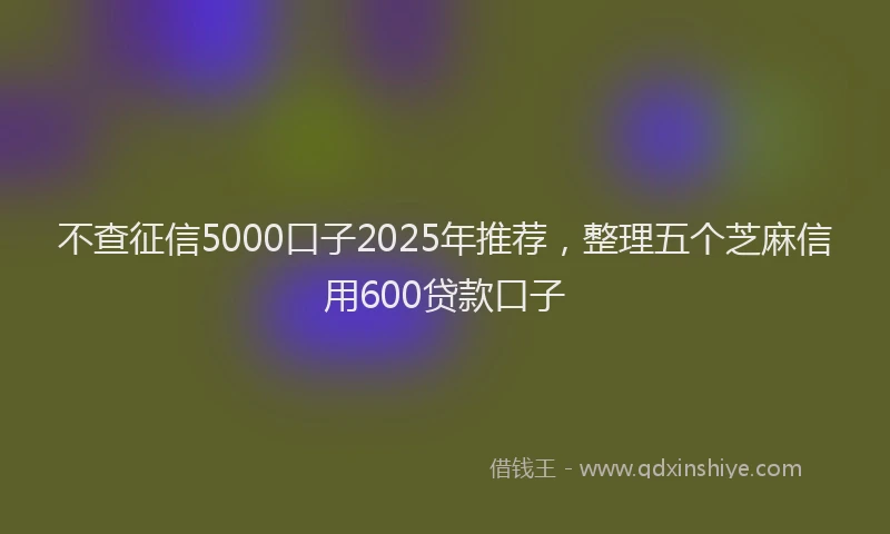 不查征信5000口子2025年推荐，整理五个芝麻信用600贷款口子