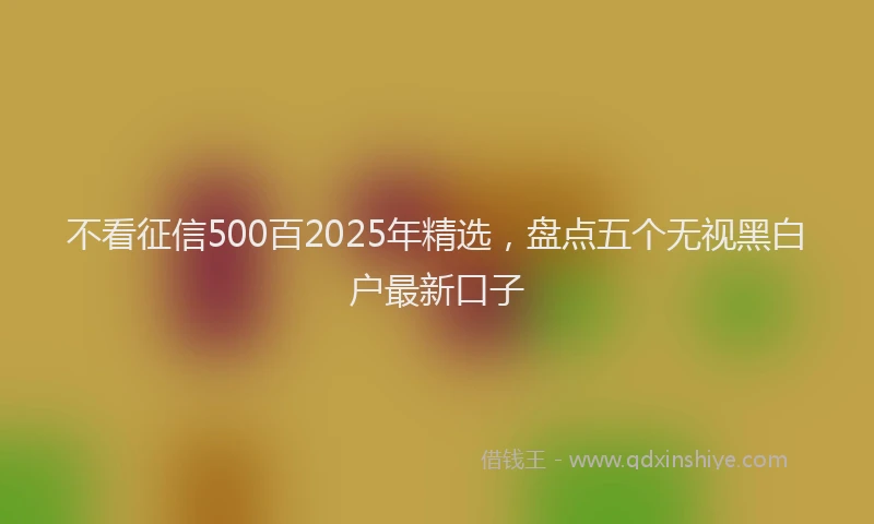 不看征信500百2025年精选，盘点五个无视黑白户最新口子