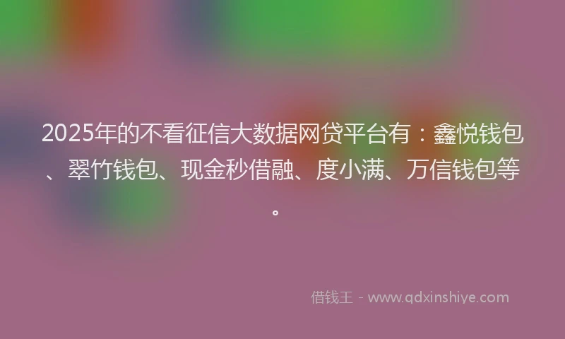 2025年的不看征信大数据网贷平台有：鑫悦钱包、翠竹钱包、现金秒借融、度小满、万信钱包等。