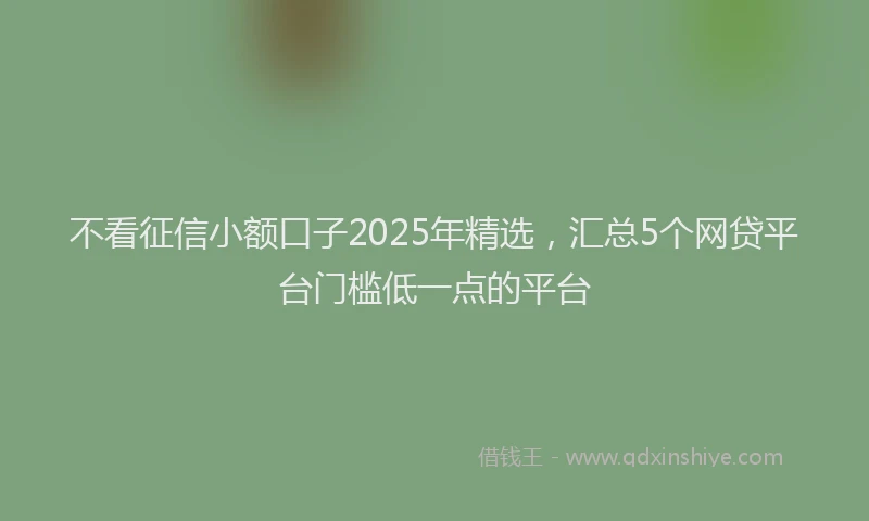 不看征信小额口子2025年精选，汇总5个网贷平台门槛低一点的平台