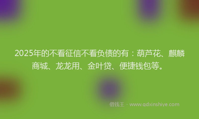 2025年的不看征信不看负债的有：葫芦花、麒麟商城、龙龙用、金叶贷、便捷钱包等。