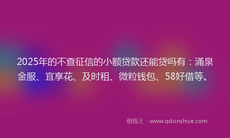 2025年的不查征信的小额贷款还能贷吗有：涌泉金服、宜享花、及时租、微粒钱包、58好借等。
