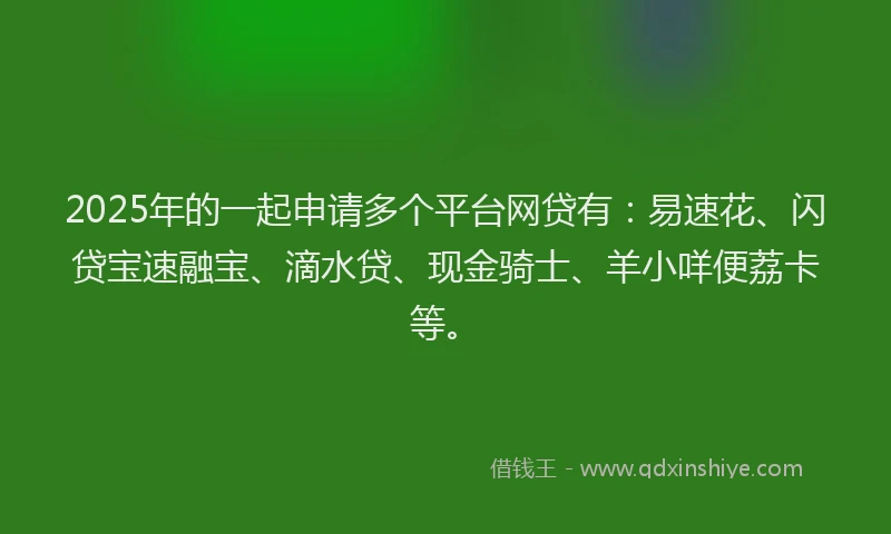 2025年的一起申请多个平台网贷有：易速花、闪贷宝速融宝、滴水贷、现金骑士、羊小咩便荔卡等。