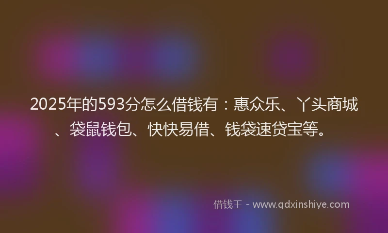 2025年的593分怎么借钱有：惠众乐、丫头商城、袋鼠钱包、快快易借、钱袋速贷宝等。