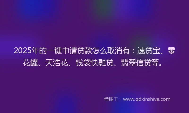 2025年的一键申请贷款怎么取消有：速贷宝、零花罐、天浩花、钱袋快融贷、翡翠信贷等。