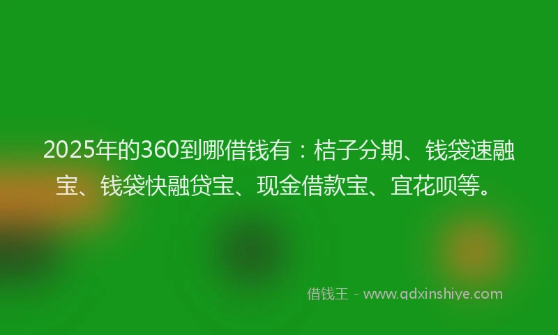 2025年的360到哪借钱有：桔子分期、钱袋速融宝、钱袋快融贷宝、现金借款宝、宜花呗等。