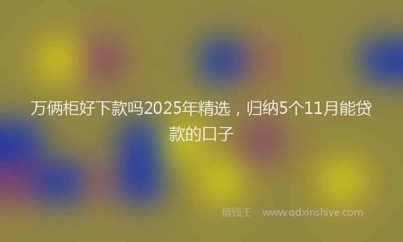 万俩柜好下款吗2025年精选，归纳5个11月能贷款的口子