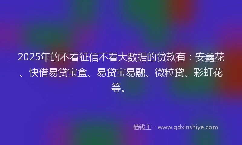 2025年的不看征信不看大数据的贷款有：安鑫花、快借易贷宝盒、易贷宝易融、微粒贷、彩虹花等。